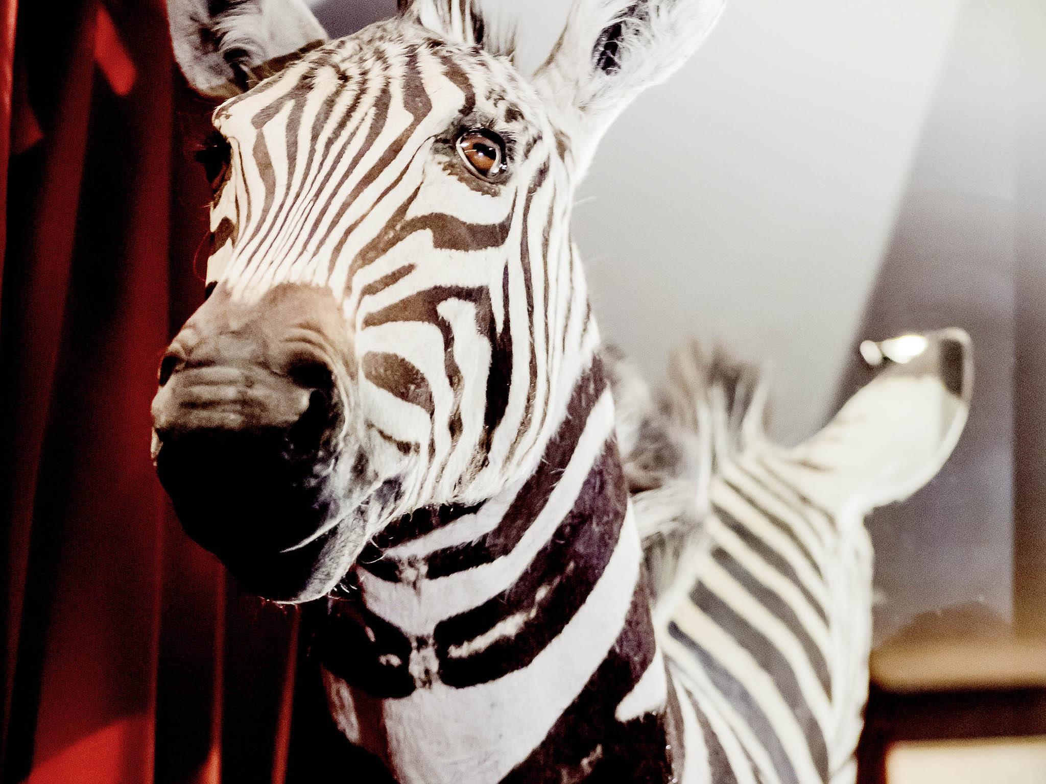 Photo - Park Hotel Grenoble - MGallery Collection