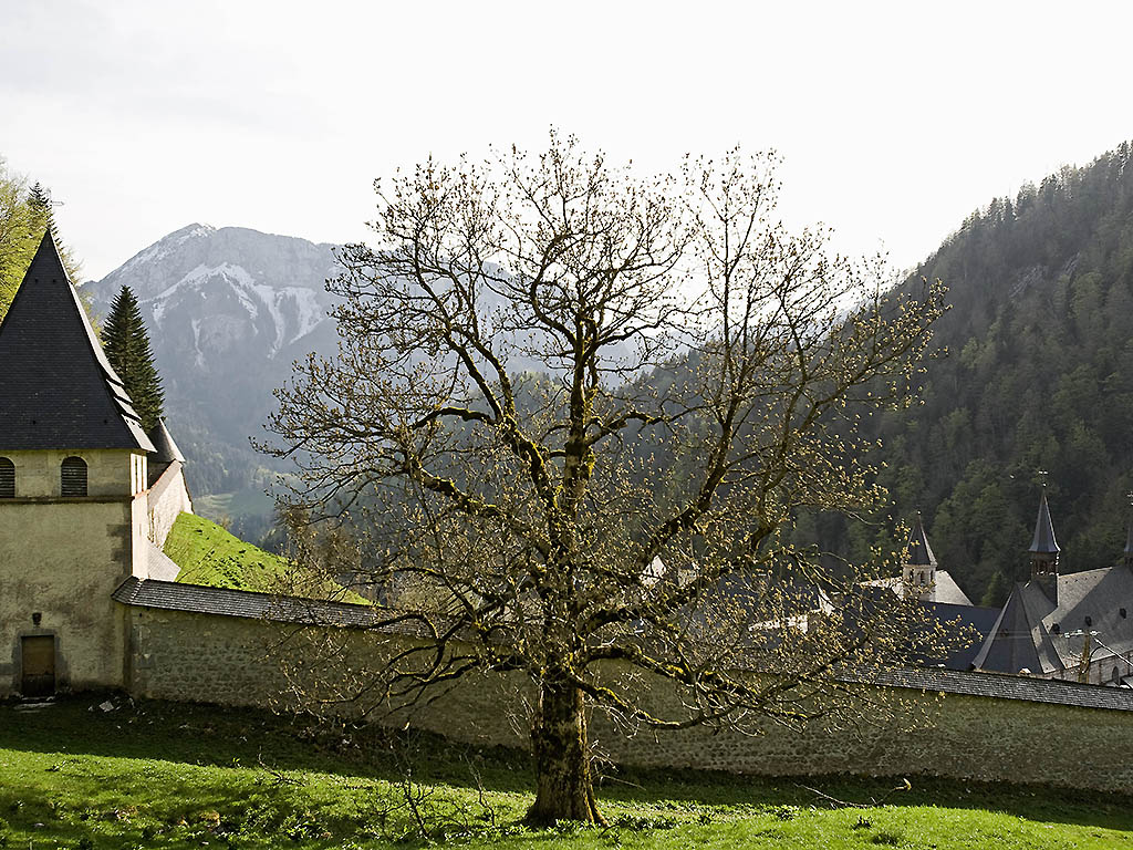 Photo - Park Hotel Grenoble - MGallery Collection