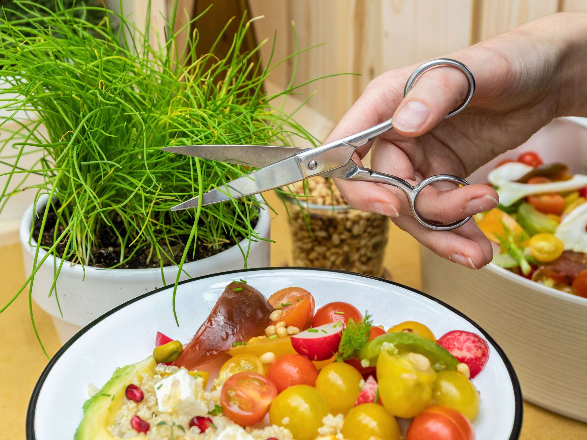 Photo - ibis Rio Porto Atlantico