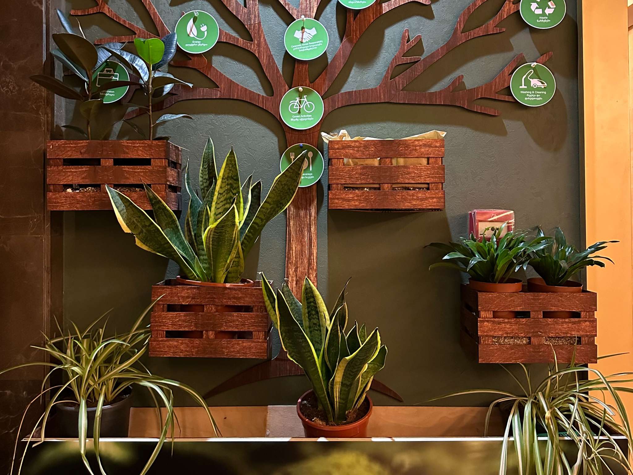 Photo - Mercure Tbilisi Old Town