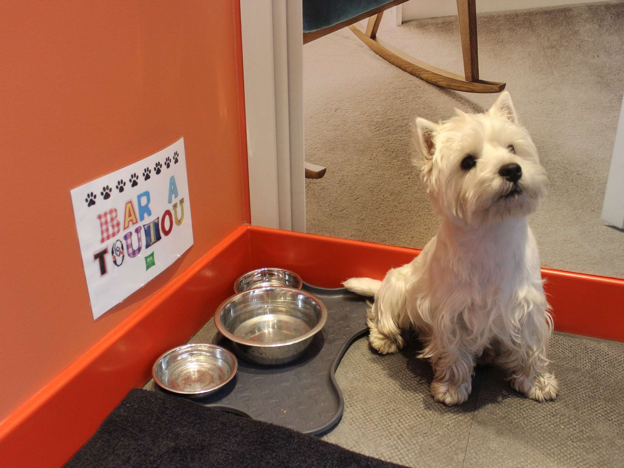 Photo - ibis Styles Lille Centre Grand Place