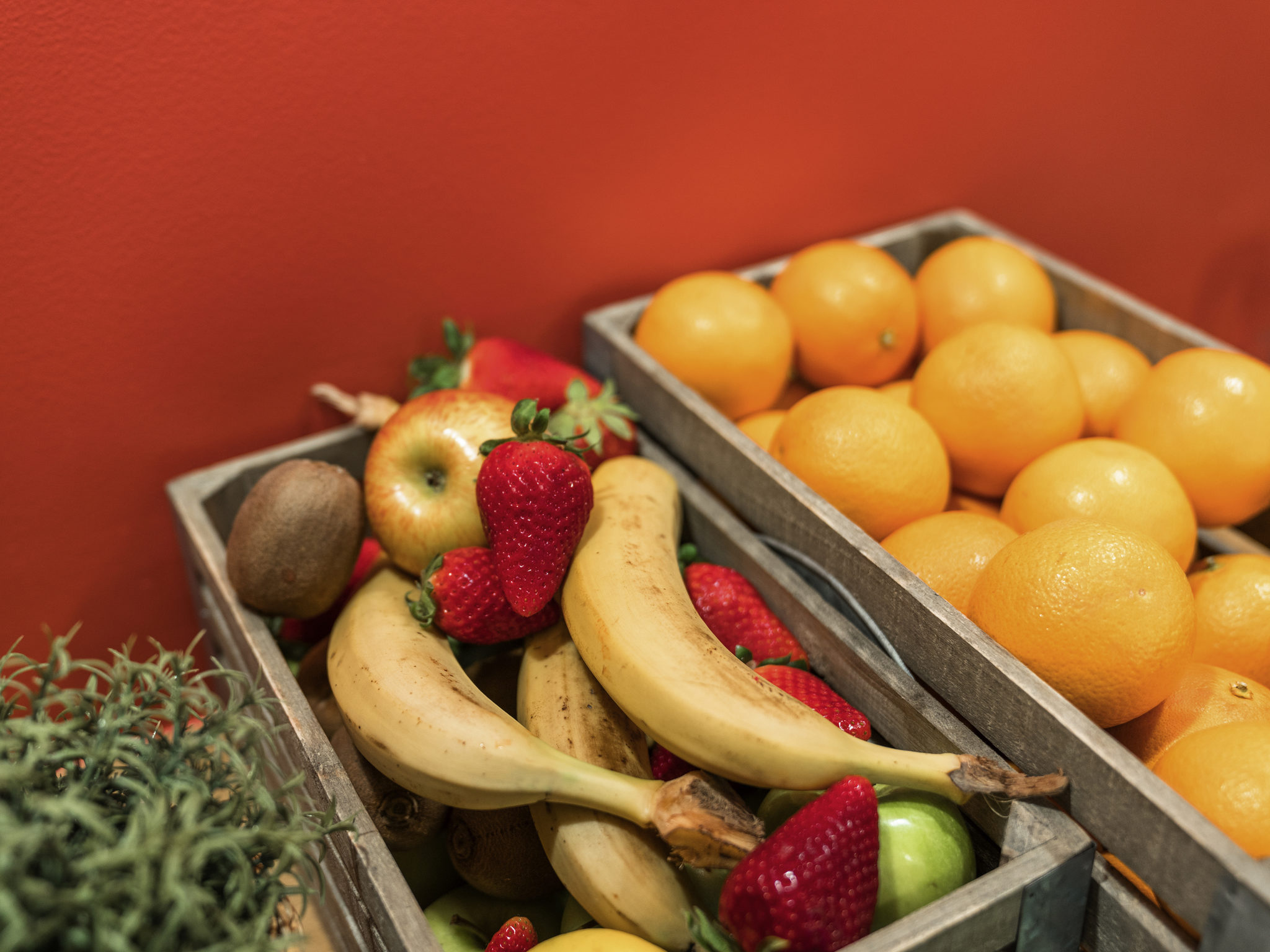 Photo - ibis Styles Lille Centre Grand Place