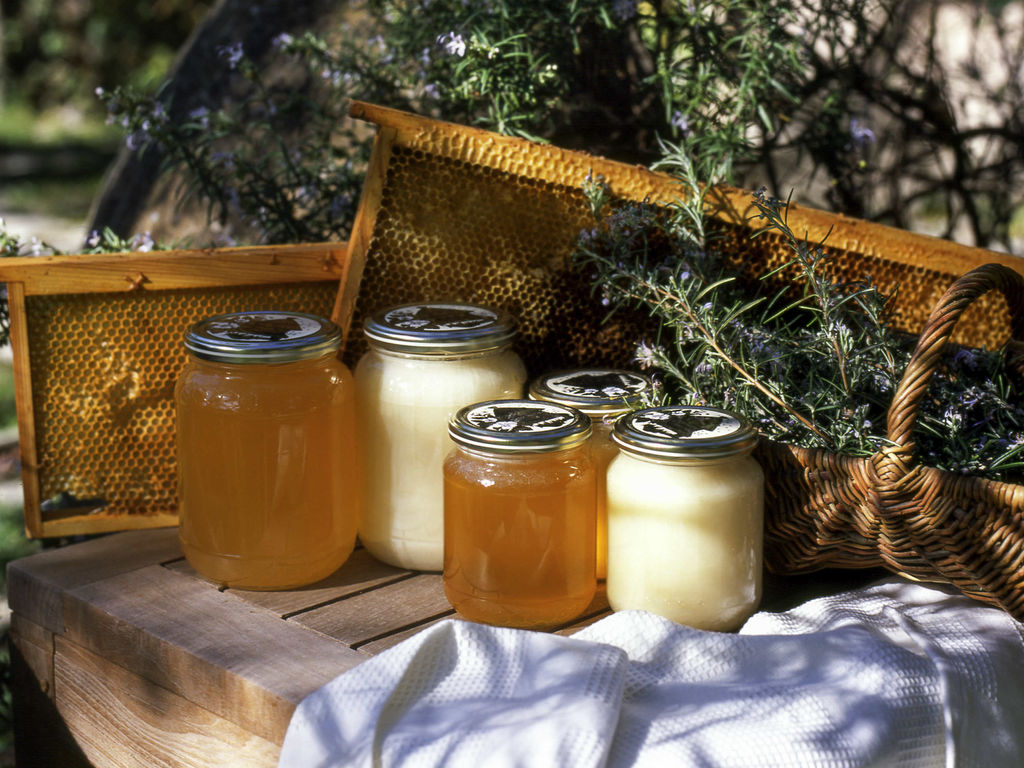 Foto - ibis Styles Montelimar Centre