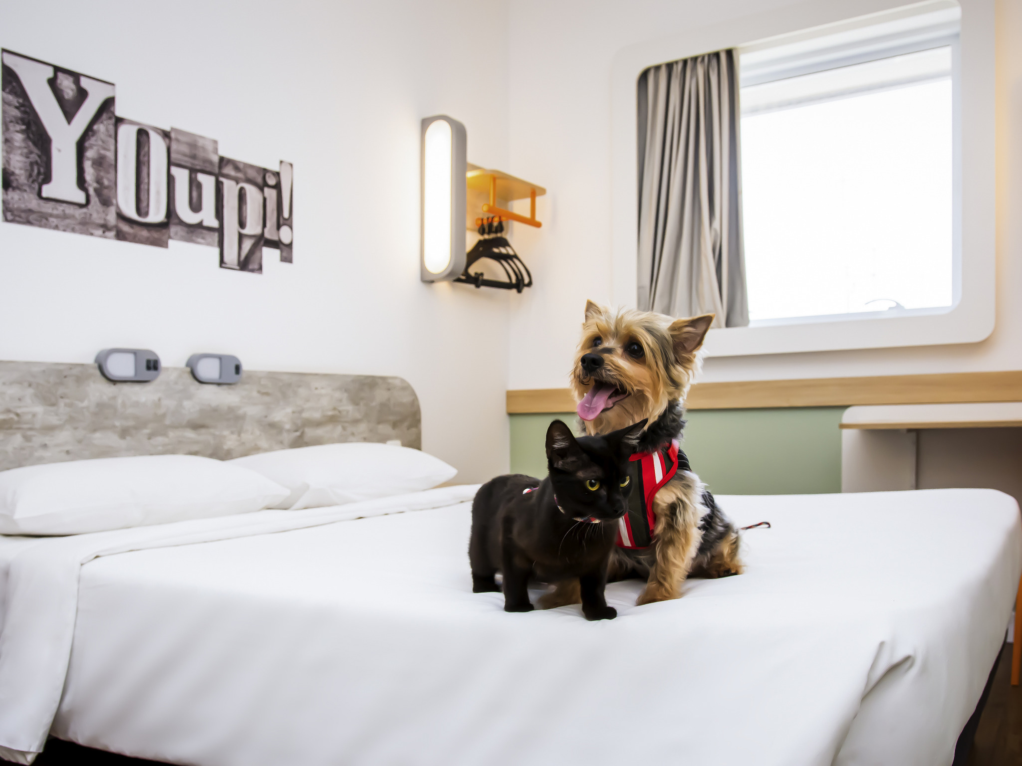 Foto - ibis budget Campinas Aquidaban