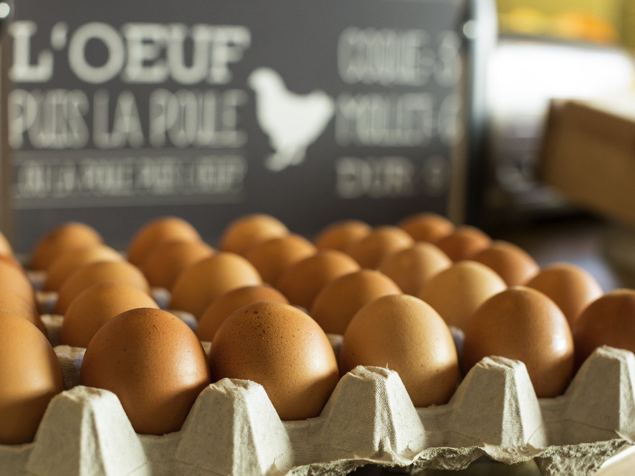 Foto - ibis Saint Quentin en Yvelines - Vélodrome