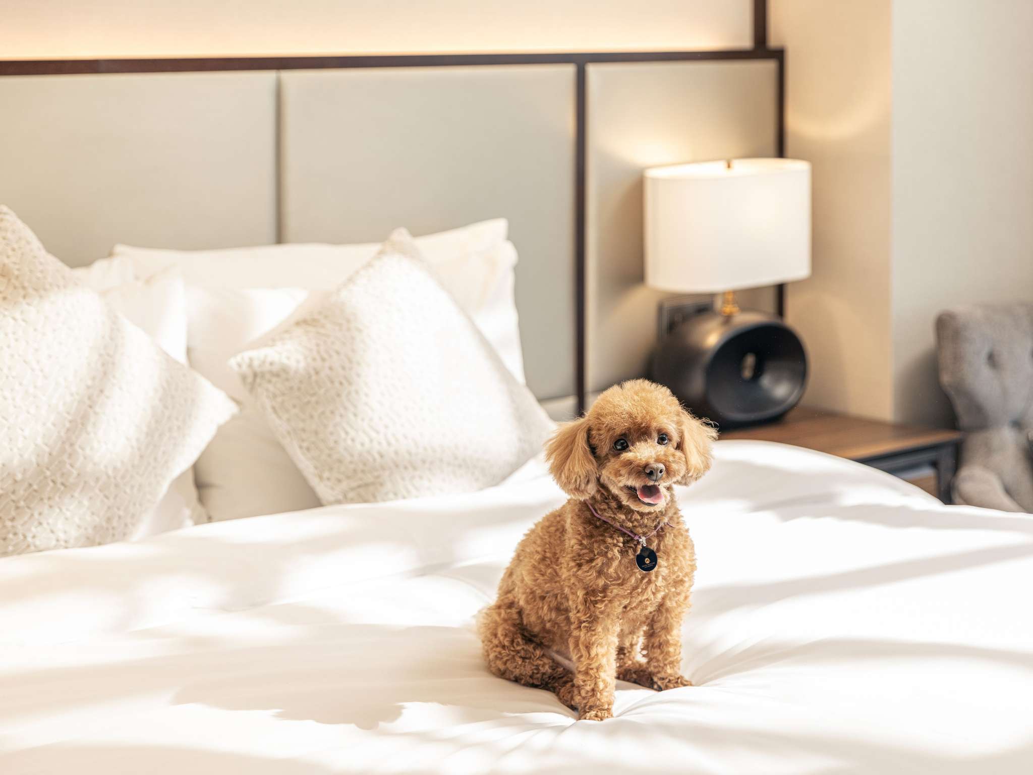 Photo - Grand Mercure Ambassador Hotel and Residences Seoul Yongsan