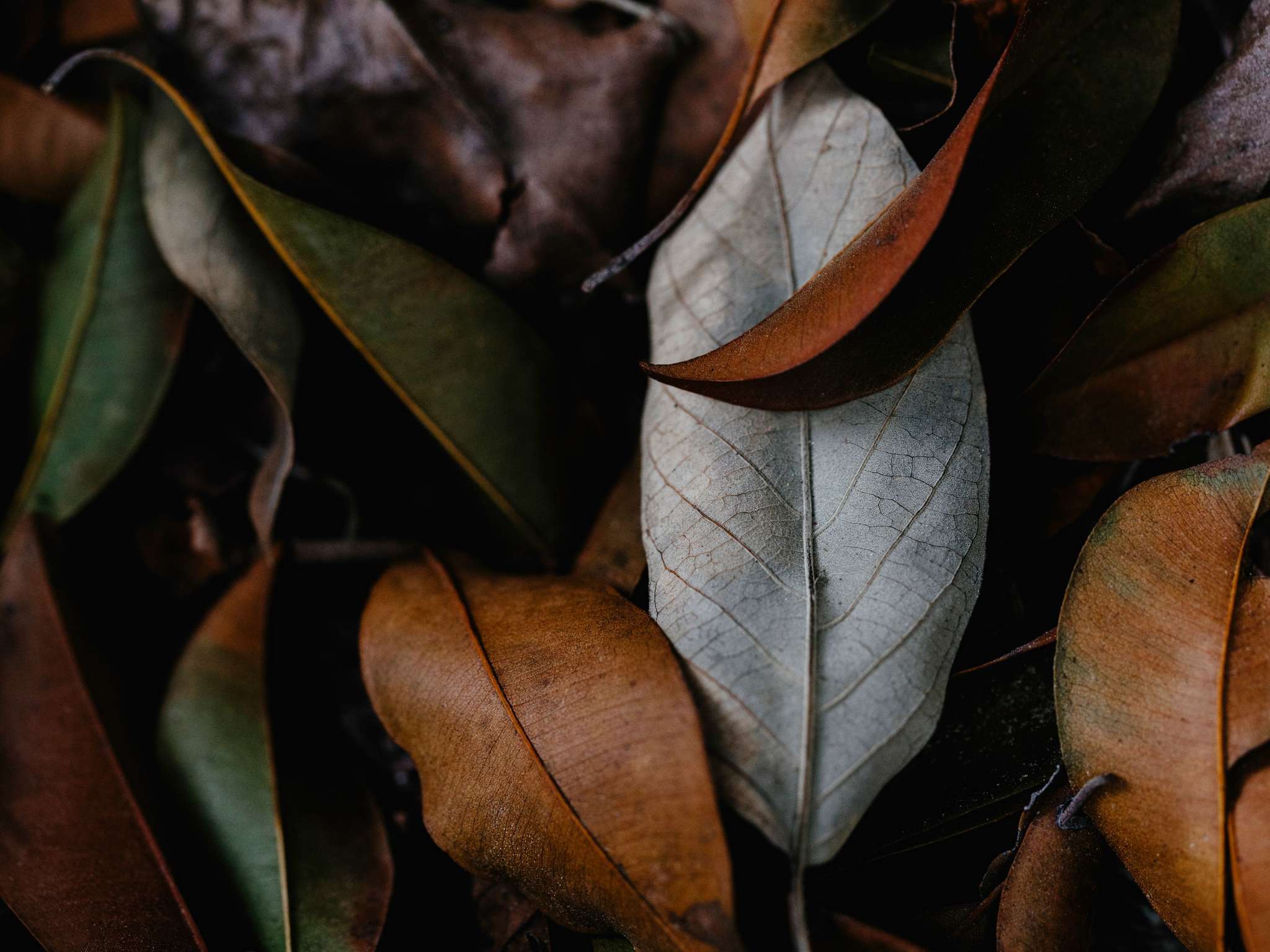 Foto - Ibis Istanbul Tuzla Hotel