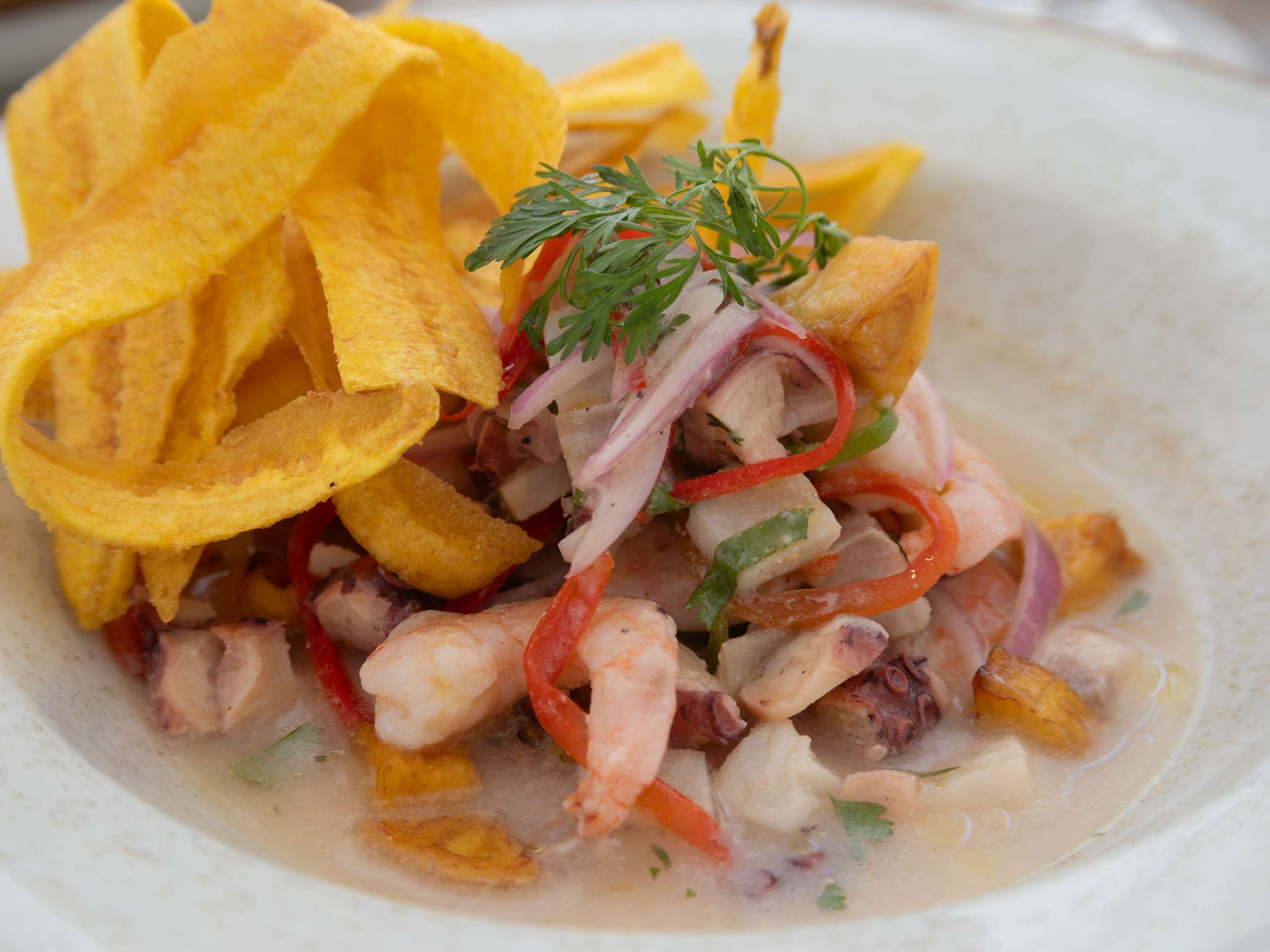 Foto - Mercure Santa Marta Emile