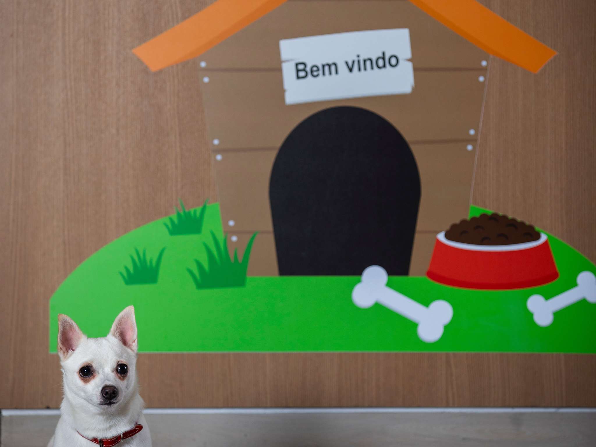 Photo - ibis budget RJ Praia de Botafogo