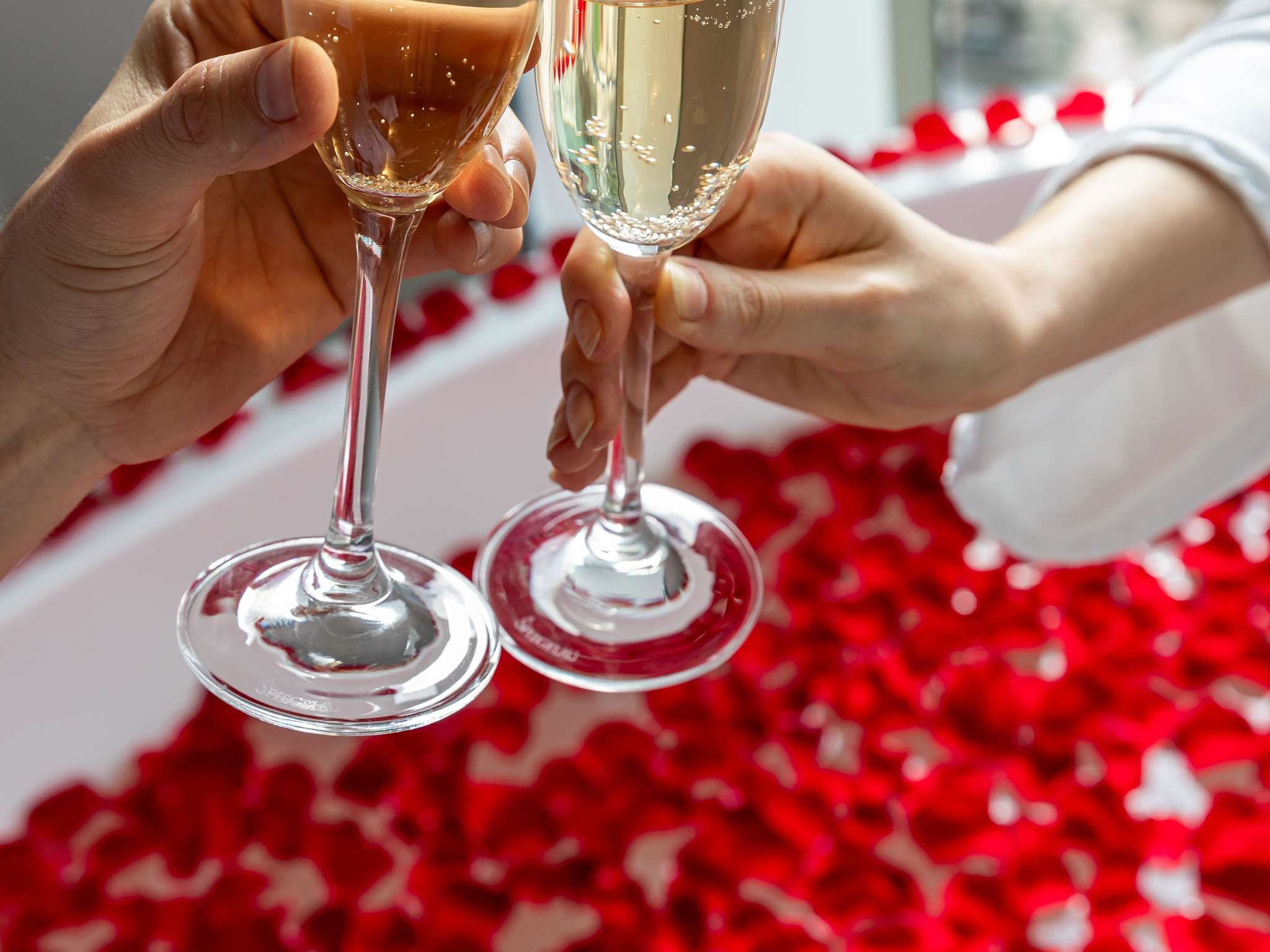 Foto - Sofitel Mexico City Reforma