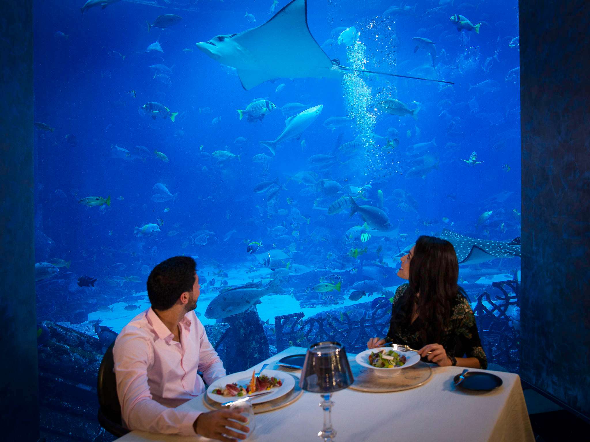 Foto - Ibis Styles Dragon Mart Dubai