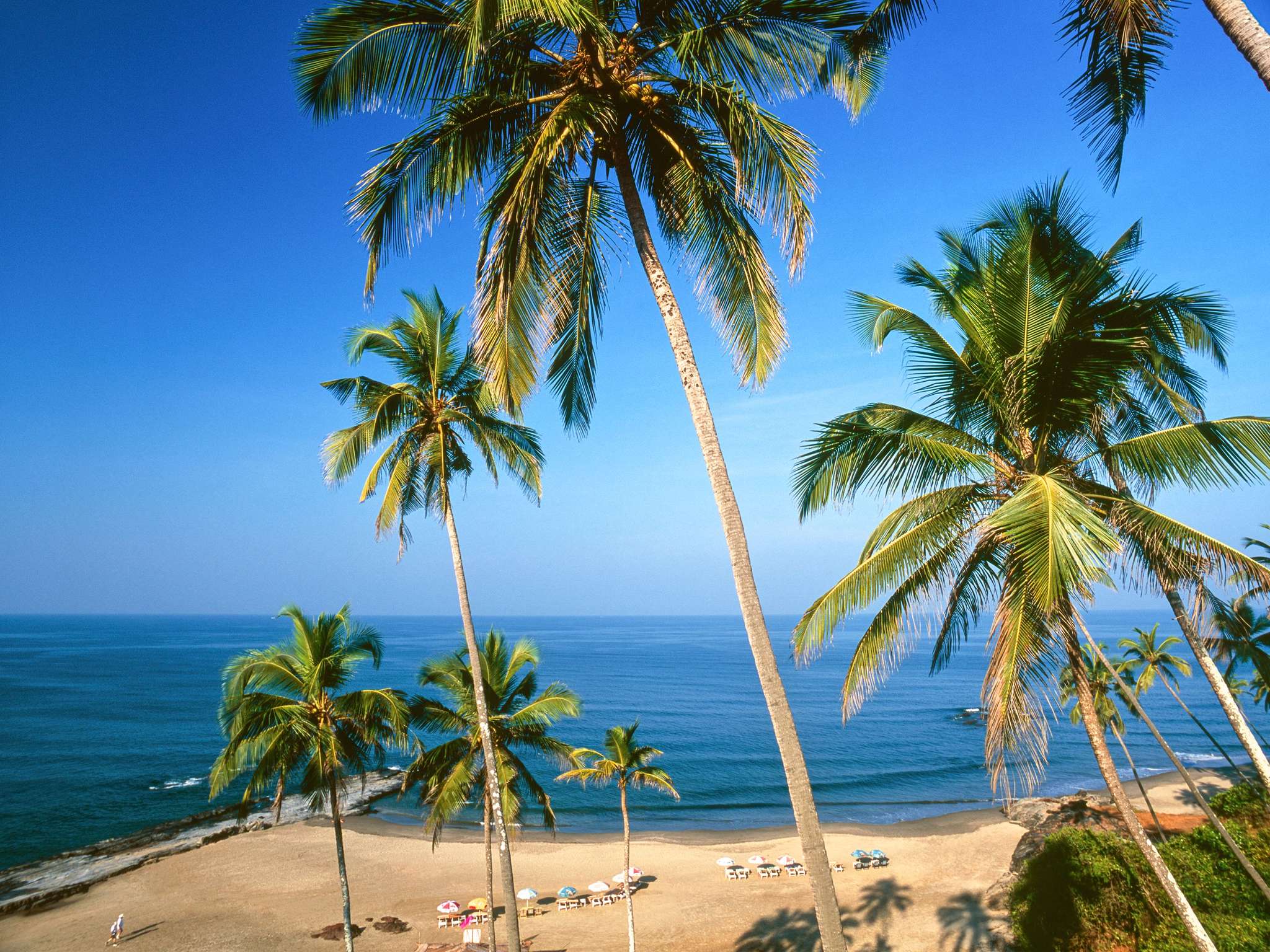 Photo - Novotel Goa Panjim