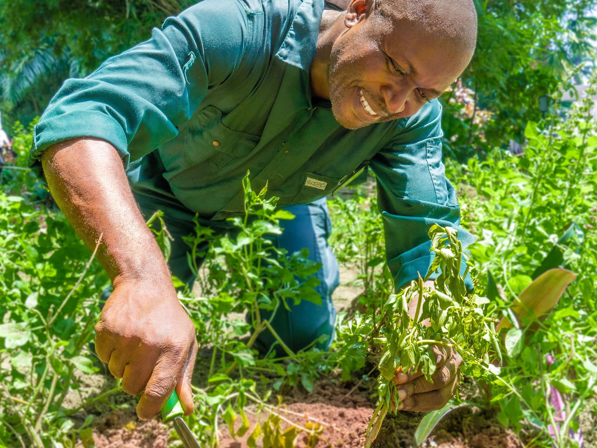 Photo - Pullman Kinshasa Grand Hotel