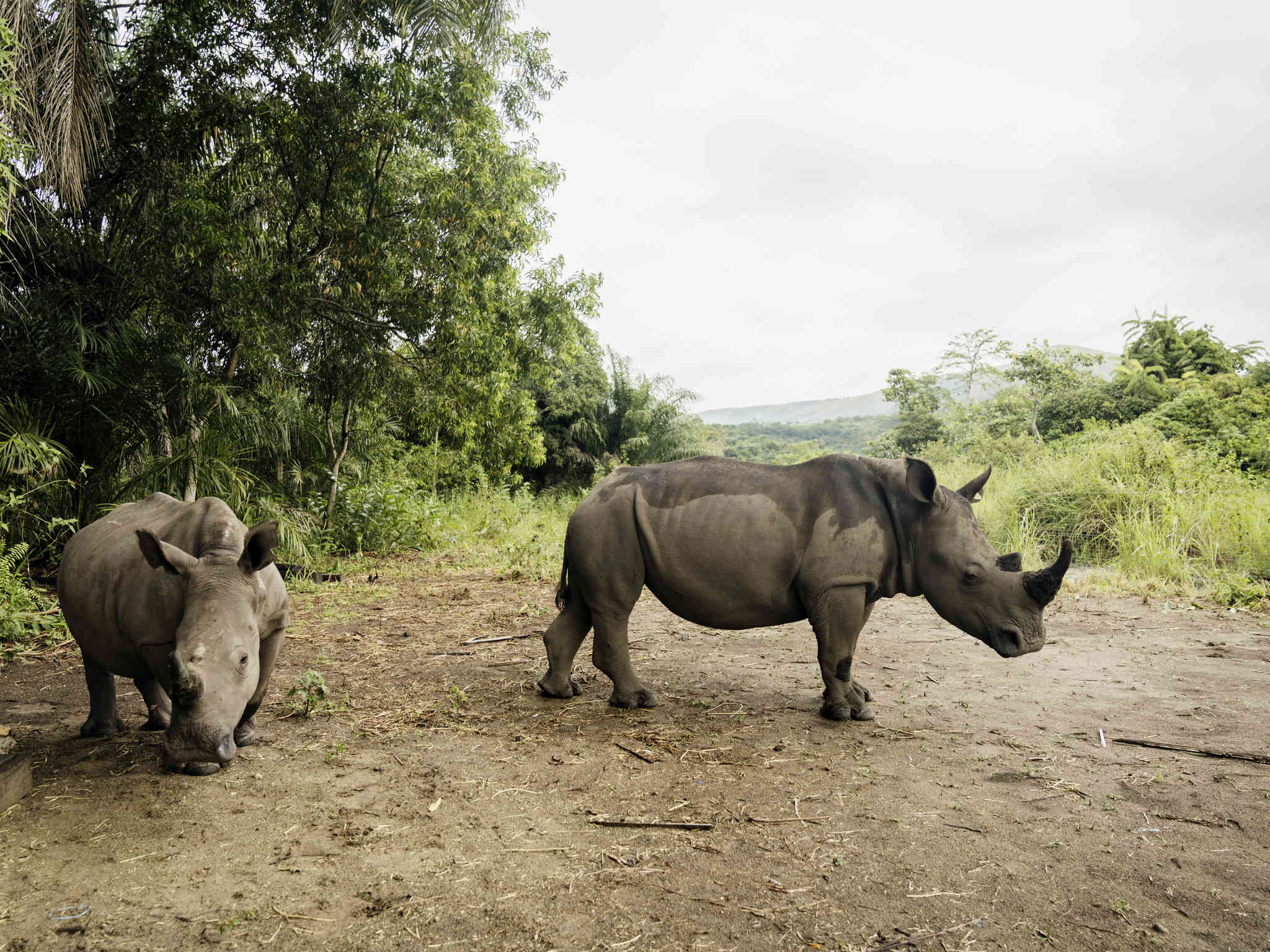 Photo - Pullman Kinshasa Grand Hotel