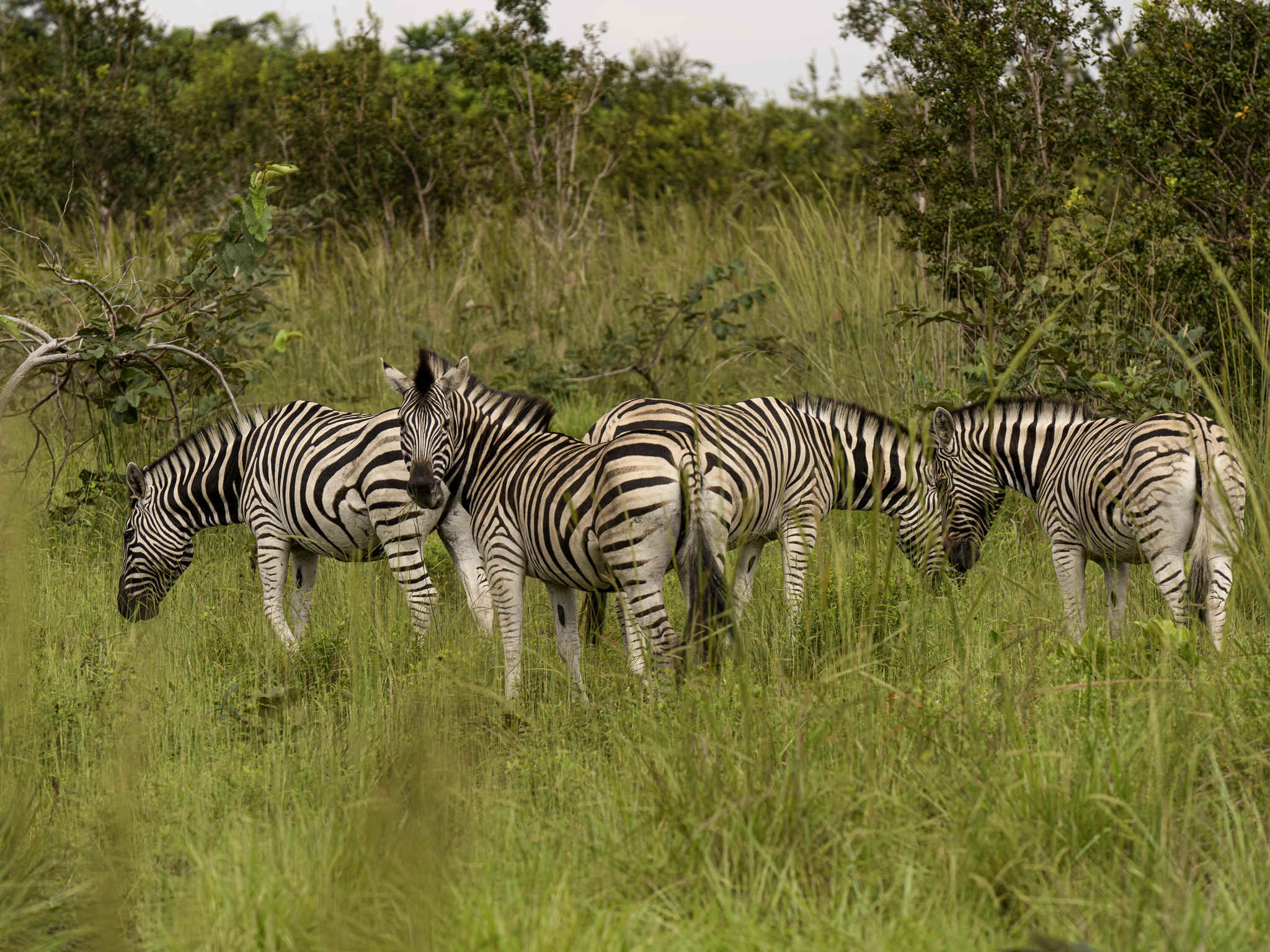Photo - Pullman Kinshasa Grand Hotel