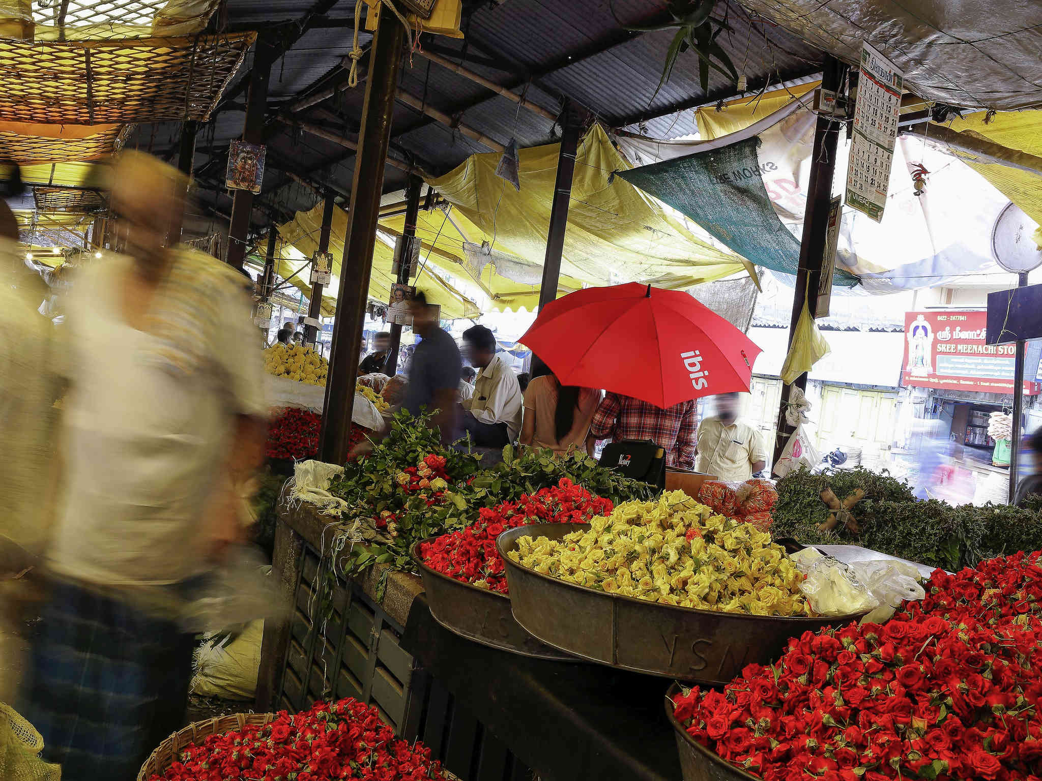 Photo - Novotel Chennai Chamiers Road