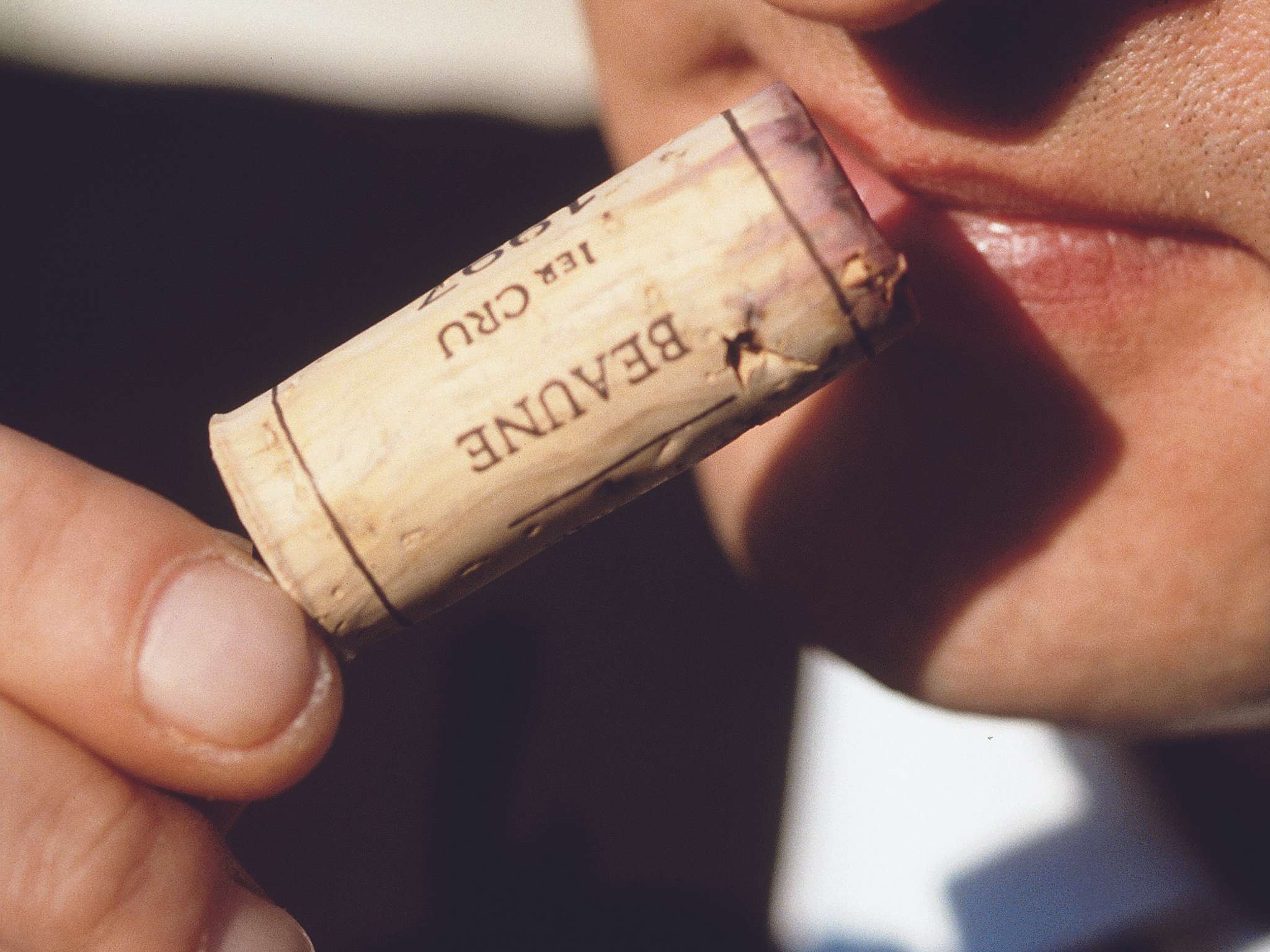 Foto - Mercure Paris Notre Dame Saint Germain des Prés