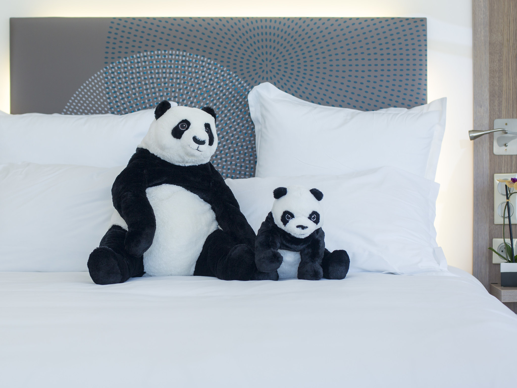 Foto - Novotel Mohammedia