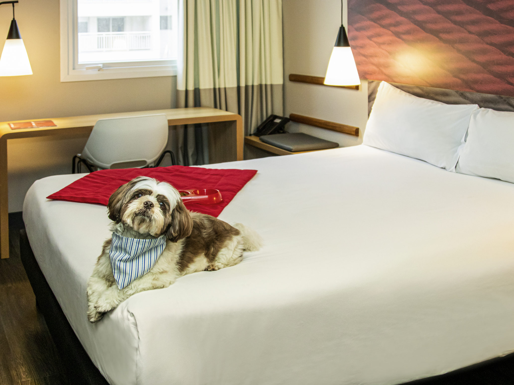 Foto - ibis Sao Paulo Tatuape