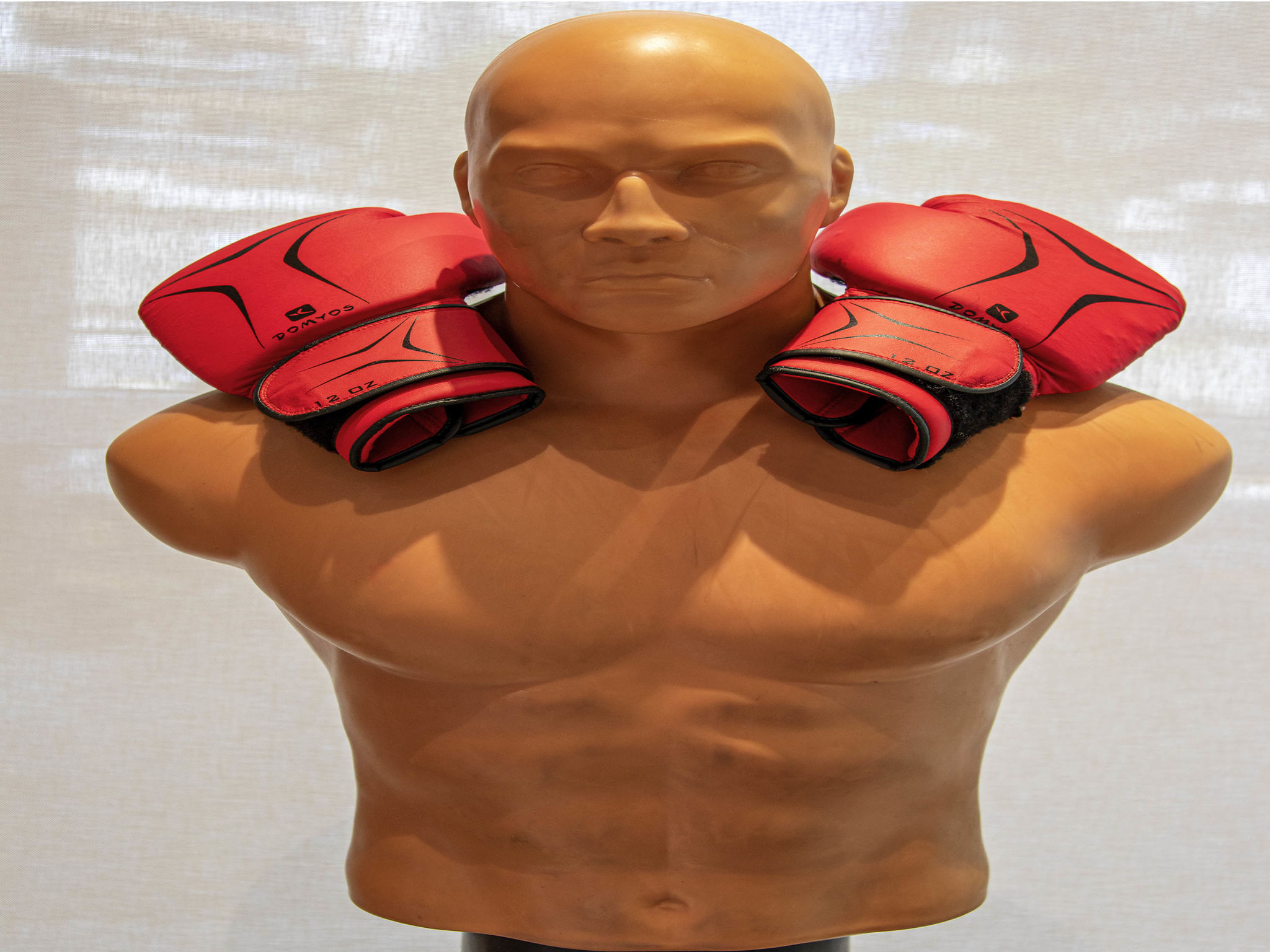 Foto - ibis Sao Paulo Tatuape