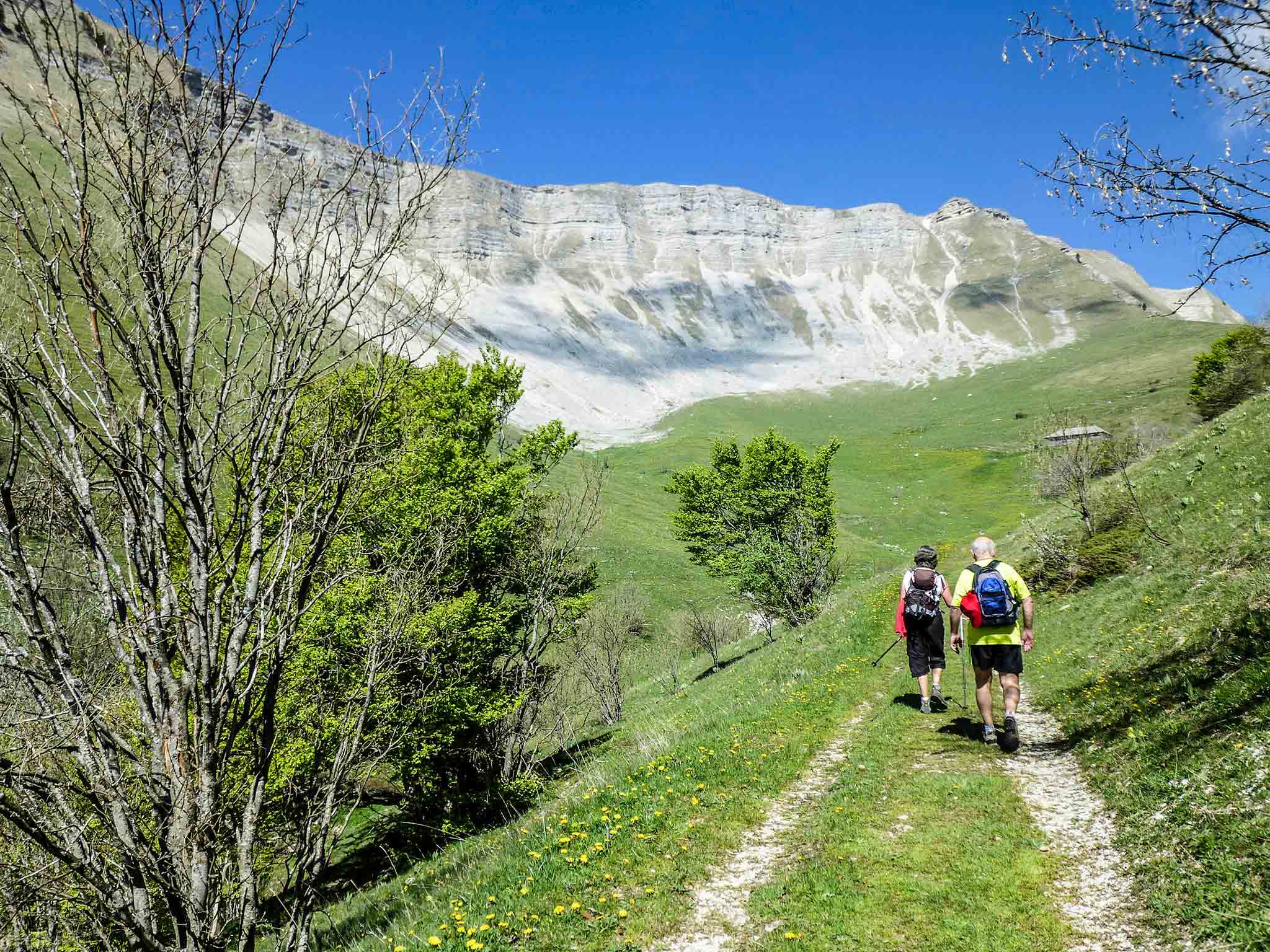 Photo - Adagio Original Thoiry Genève