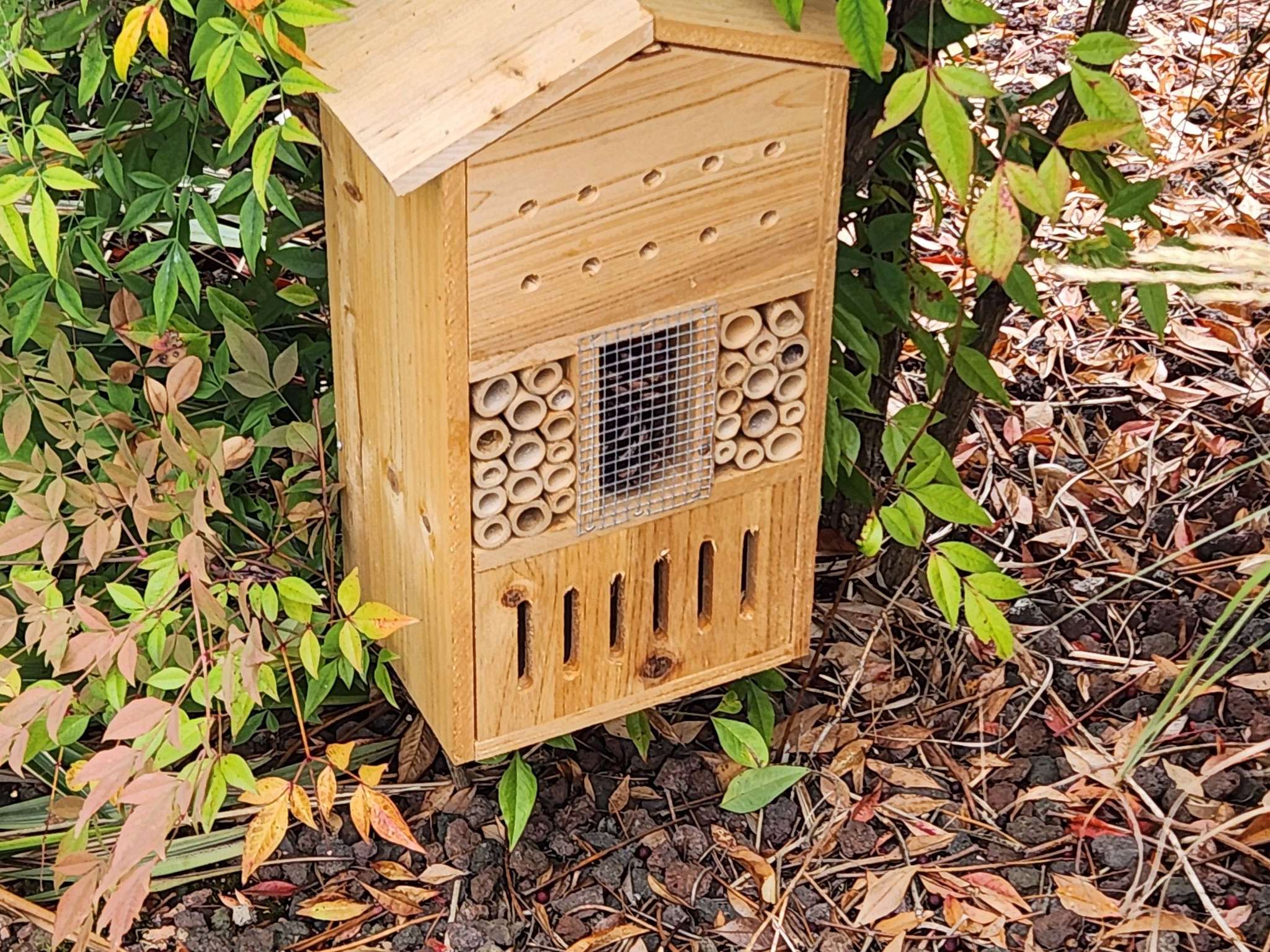 Foto - ibis Styles Vierzon