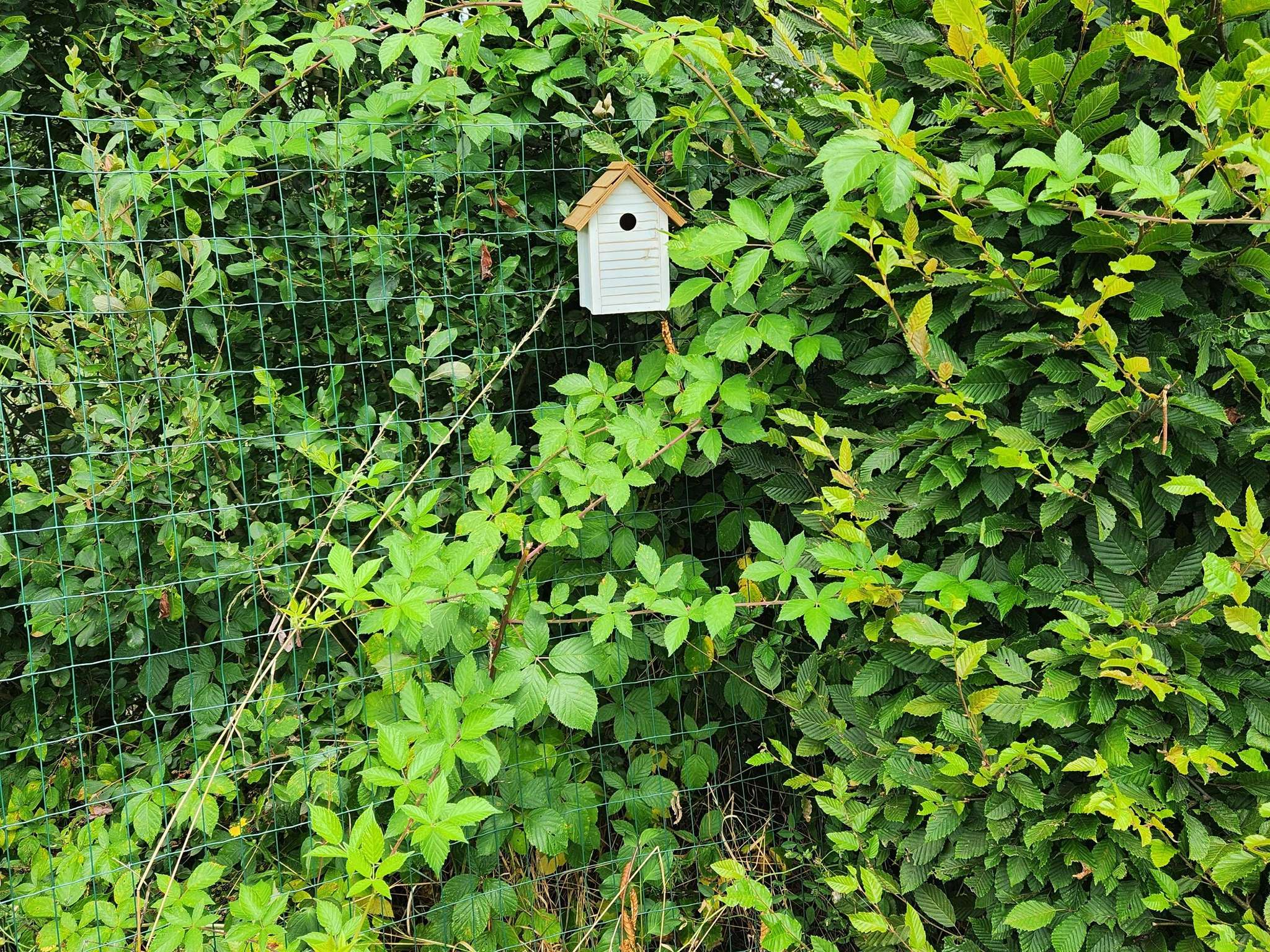 Foto - ibis Styles Vierzon