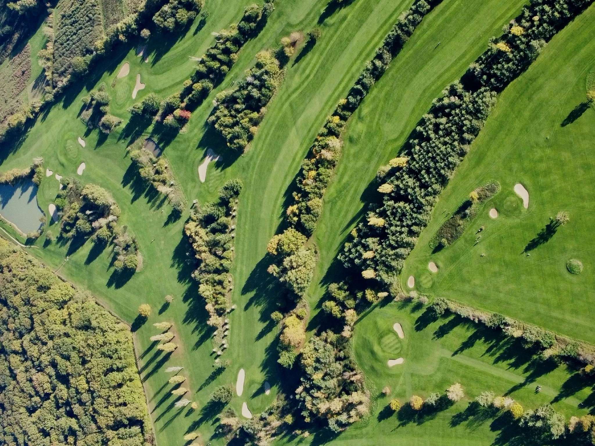 Foto - ibis Styles Vierzon