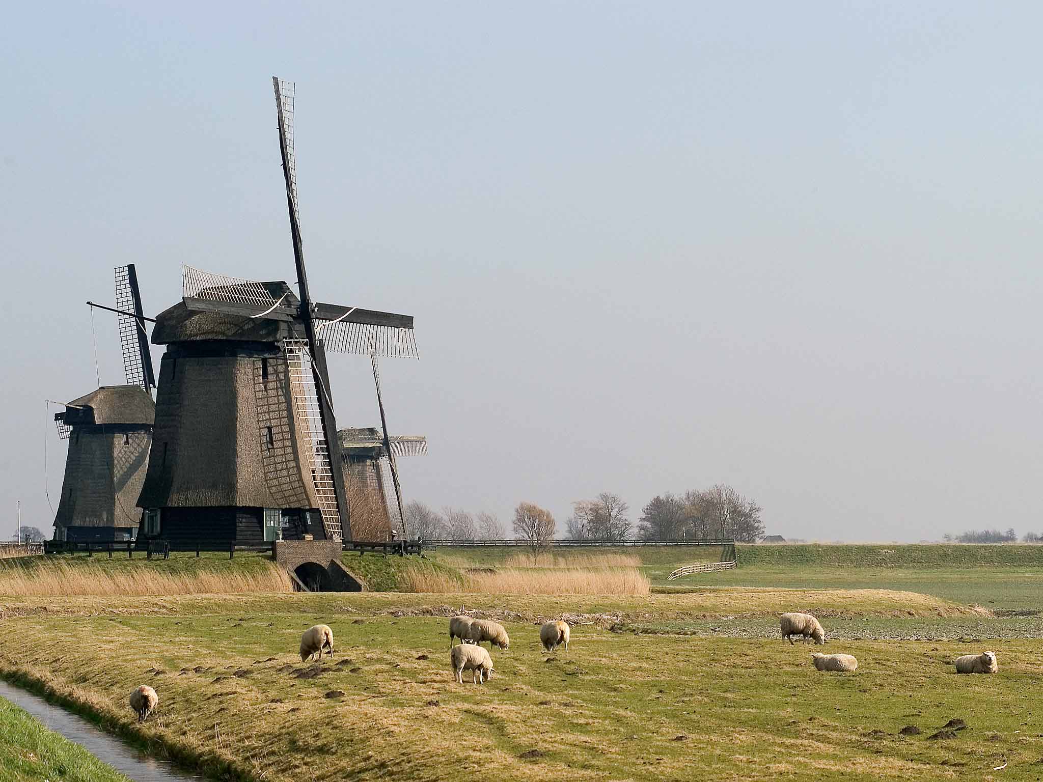 Foto - Amsterdam House Hotel