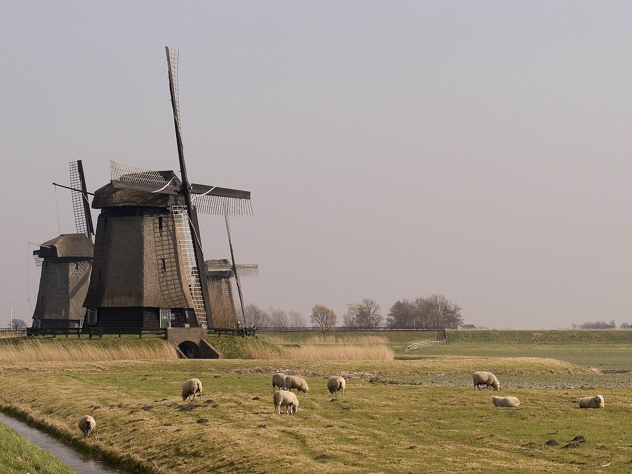 Photo - Mercure Amsterdam Sloterdijk Station