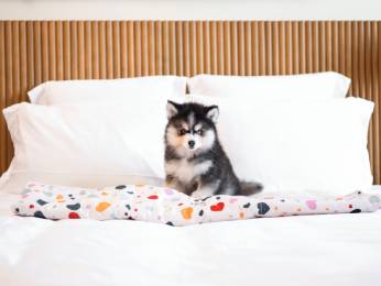 Foto - Mama Shelter Marseille