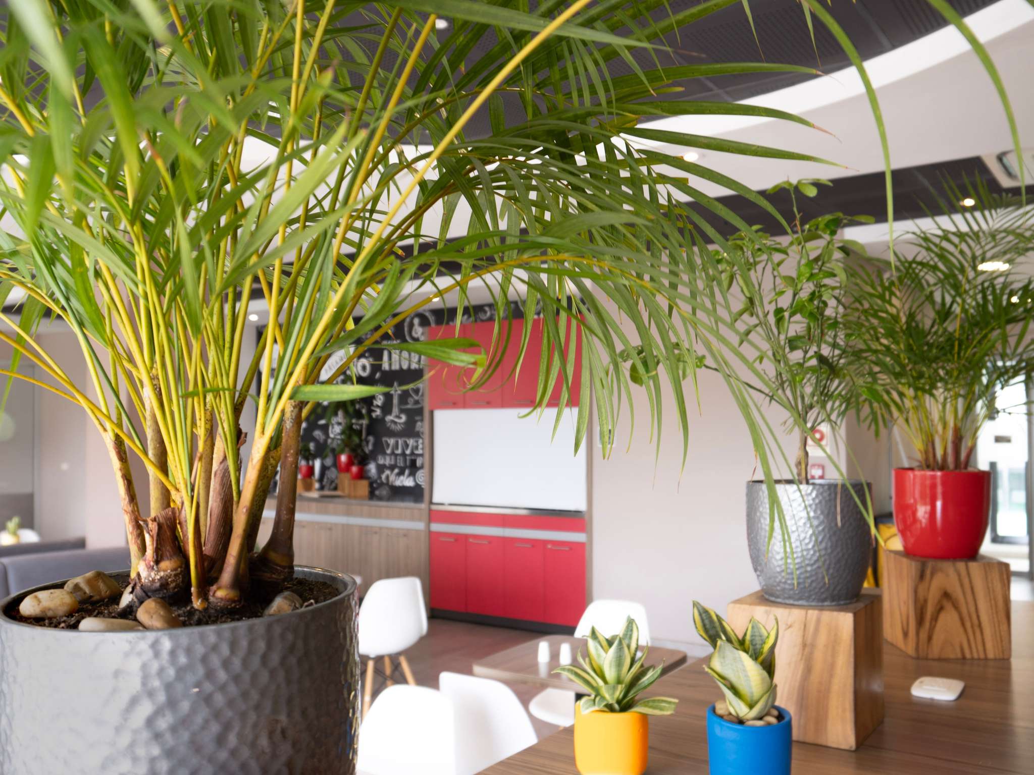 Foto - ibis Barranquilla