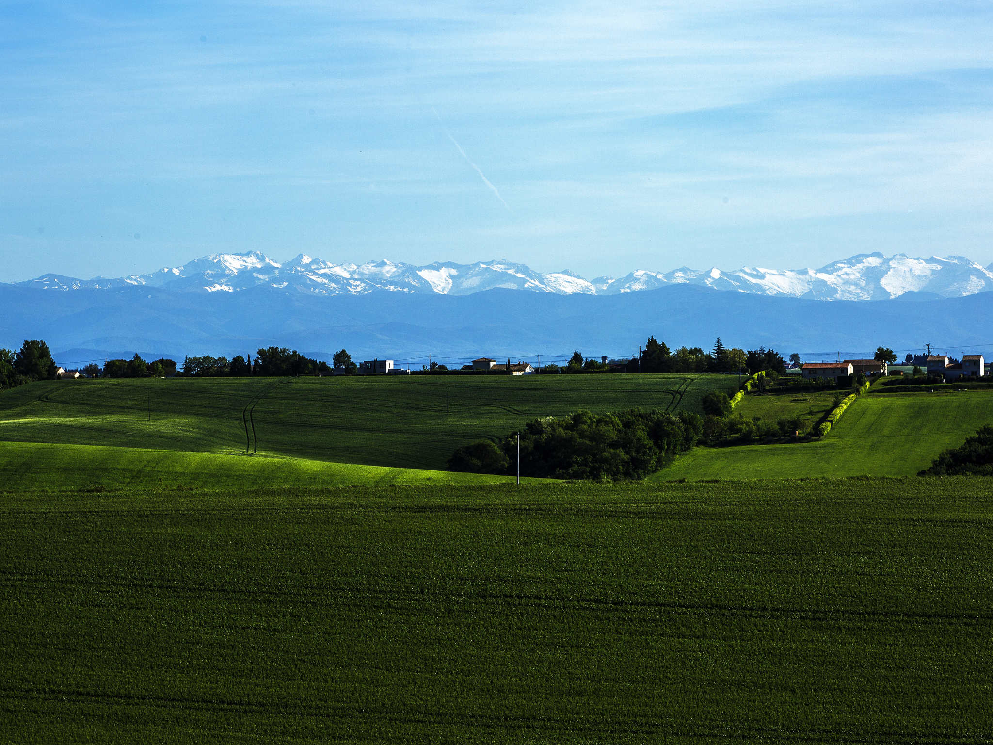 Foto - Ibis Styles Toulouse Capitole