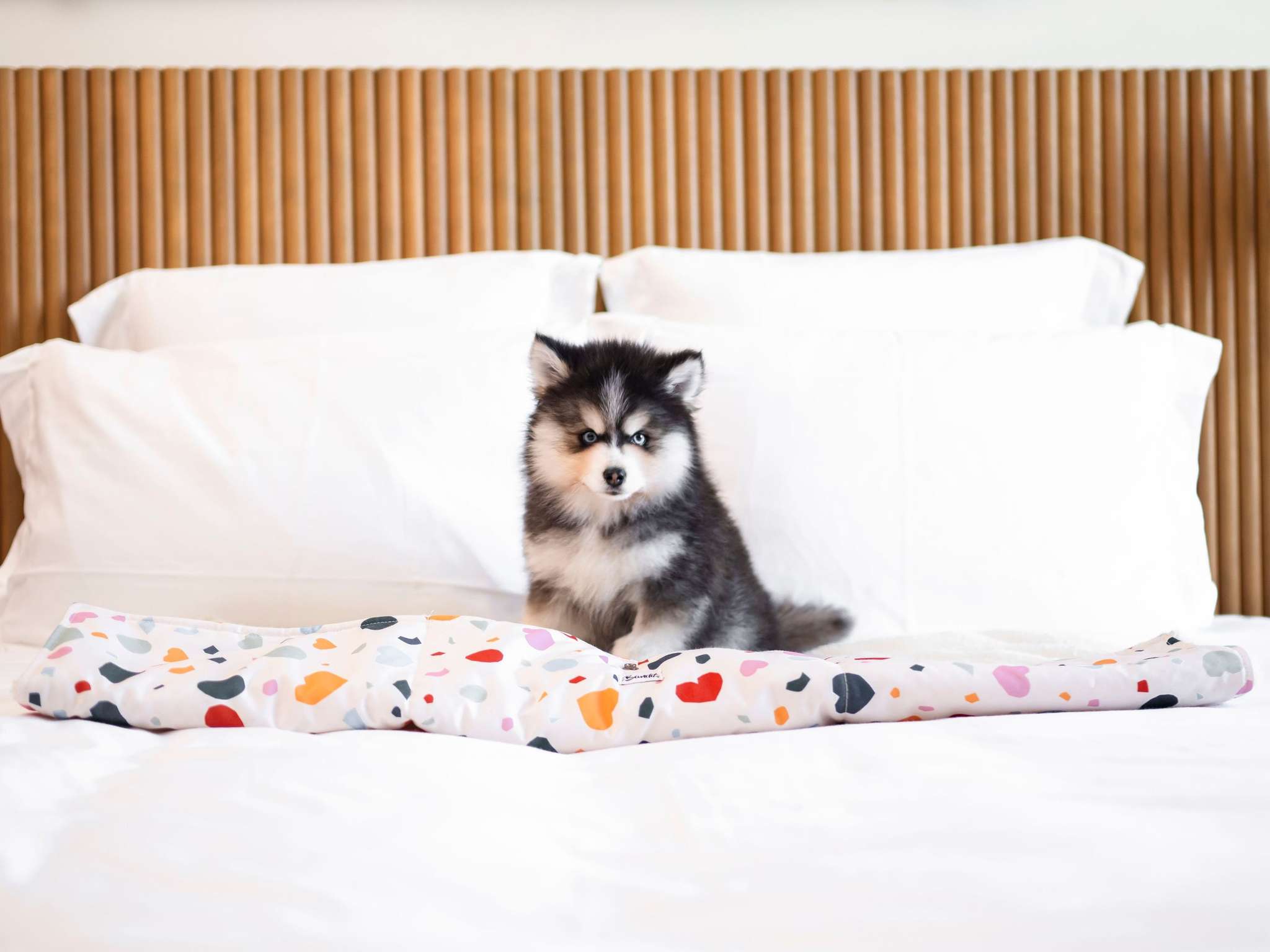 Photo - Mama Shelter Paris East