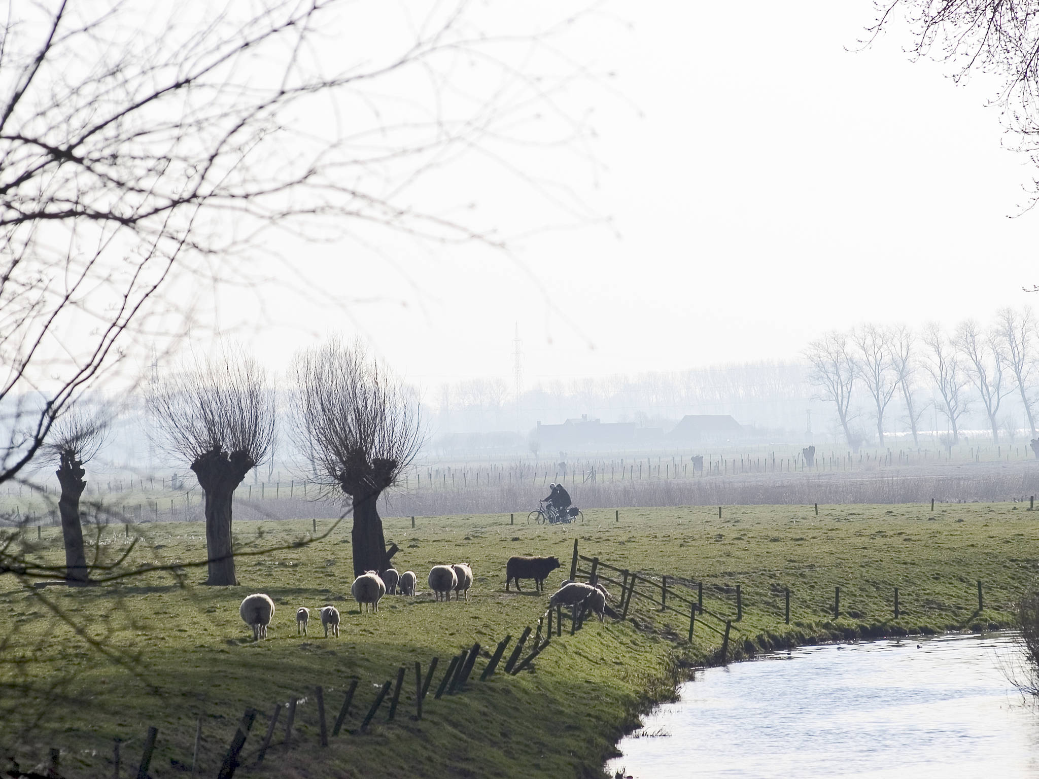 Foto - Ibis Wavre Brussels East