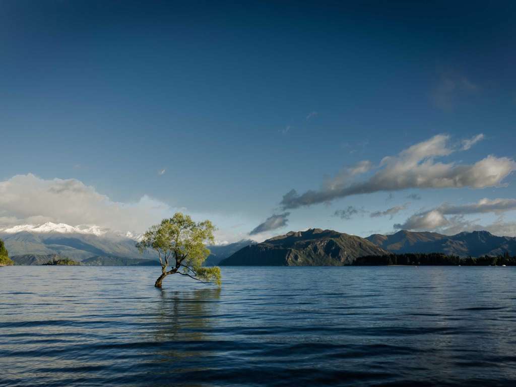 ホテル ドゥ テスト API D3 - テストの新しい名前 - Image 2