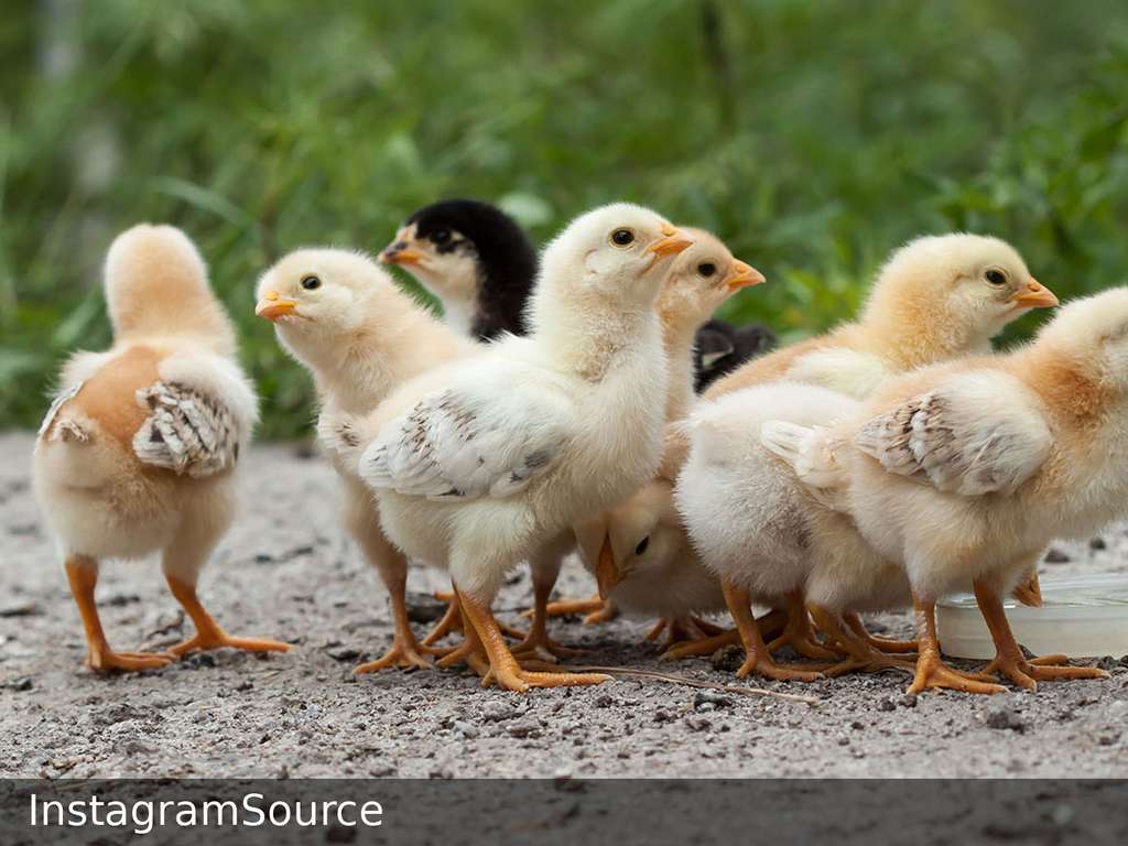 ホテル ドゥ テスト API D3 - テストの新しい名前 - Image 3