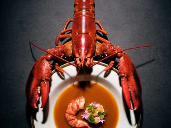 RACINES restaurant picture