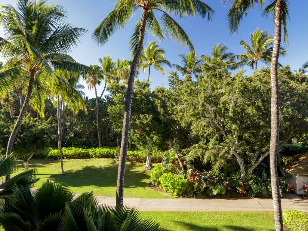 CHAMBRE FAIRMONT GOLD 1 Lit King, 48 m², vue sur le jardin tropical — photo 5