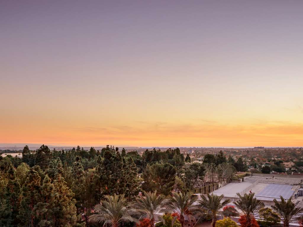 DELUXE SUNSET VIEW 1 KING - 43 m², étages 5-8, coin salon avec canapé, balcon privé — photo 4