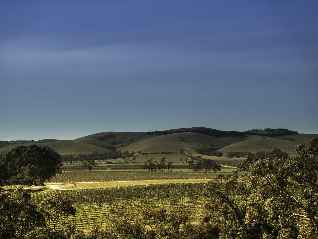 Mantra Pavilion Hotel - Wagga Wagga - Image 3