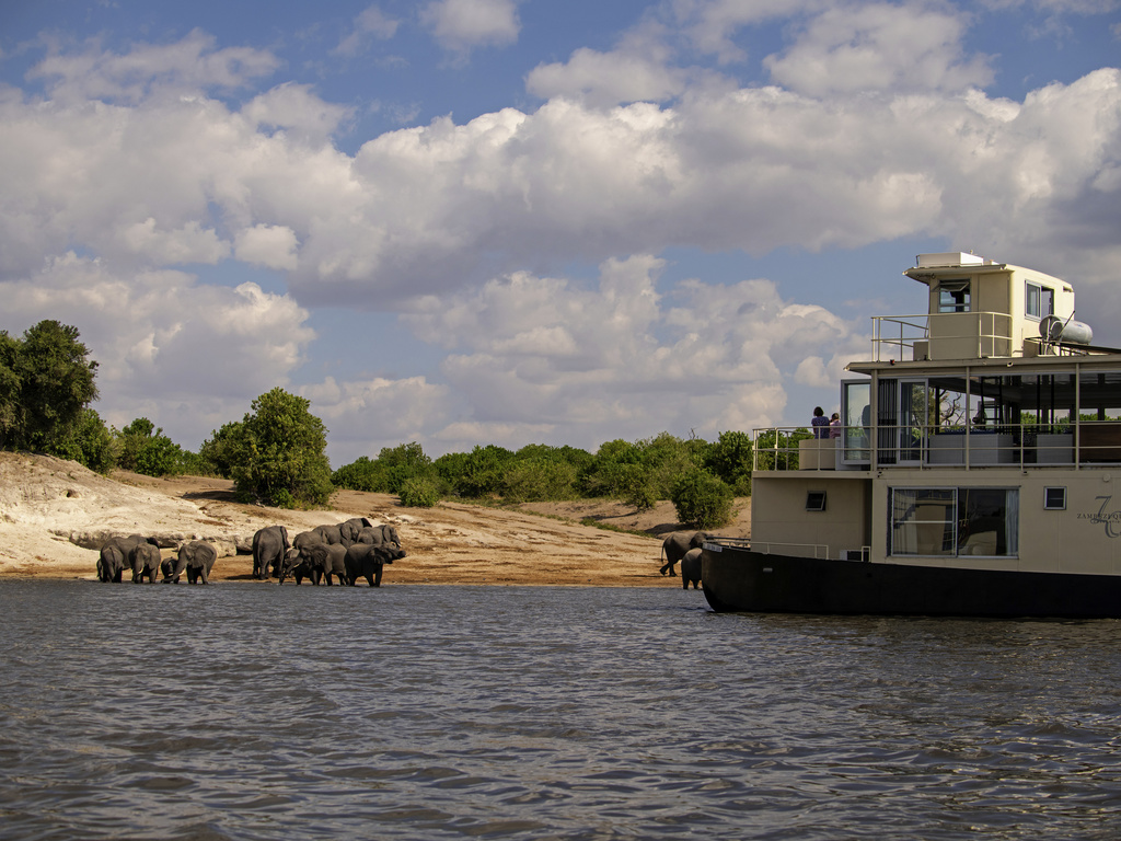 Chobe Princesses par Mantis - Image 2