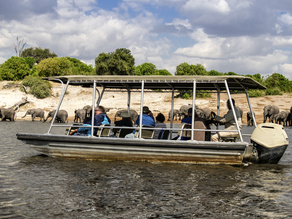 Zambezi Queen - Image 2