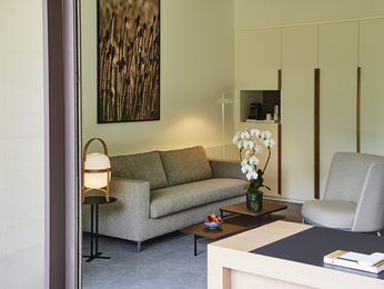 EXECUTIVE SUITE, 1 King Bed, 1 Convertible Sofa, Forest View, Terrace