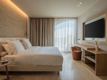 Superior Room with 1 king size bed