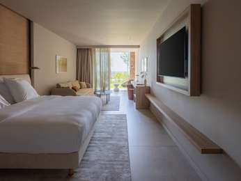 Junior Suite with 1 king size bed and 1 Sofa bed