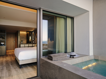 Deluxe Retreat Plunge Pool Atrium View