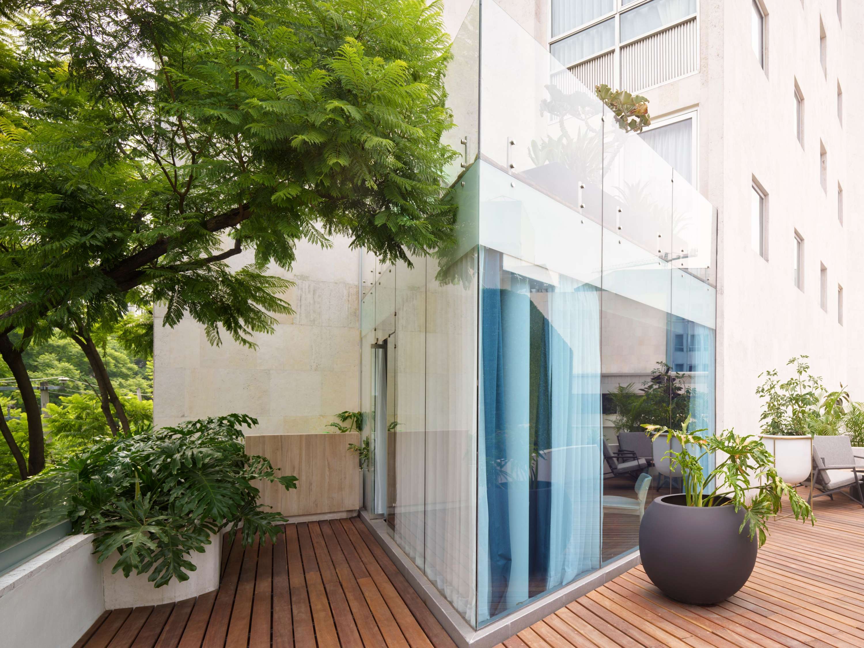 Mondrian Mexico City Condesa ALL mondrian-mexico-city-condesa-gallery-ennismore