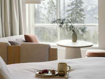 STUDIO PEAK VIEW KING SUITE - 400sf, 37sqm