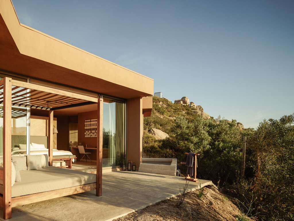 Banyan Tree Veya Valle de Guadalupe - Image 2